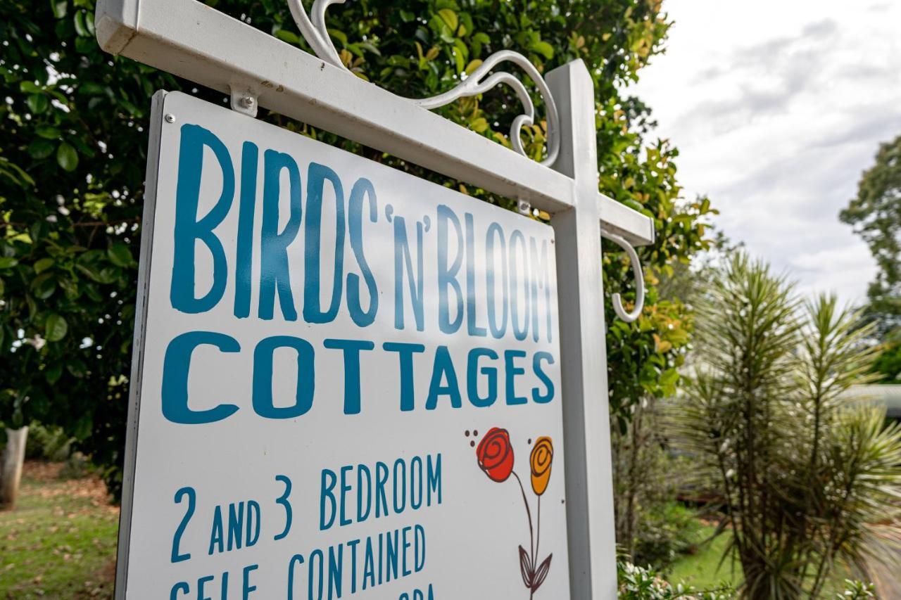 Birds 'N' Bloom Cottages Yungaburra Buitenkant foto
